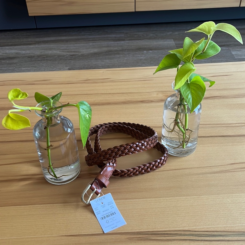 J Crew Factory Woven Belt